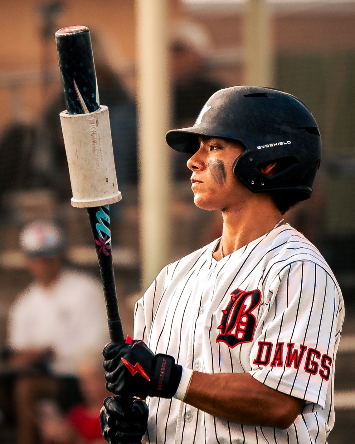 Bowie Dawgs batter with bat over his shoulder at dusk