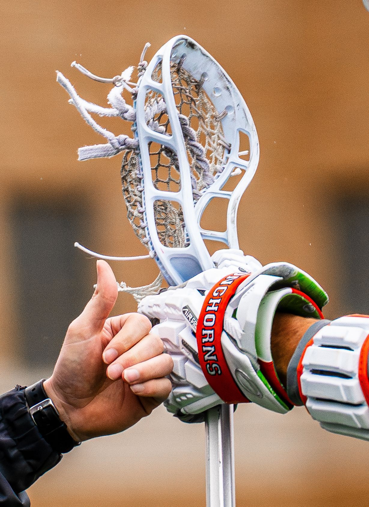 Lacrosse stick head and a Horns glove